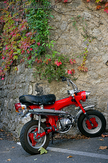 red-motorcycle-n-leaves.jpg