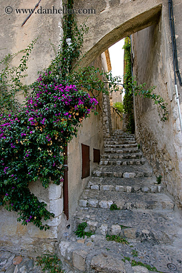 steps-arch-n-bougainvillea.jpg