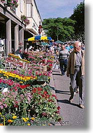 images/Europe/France/Provence/Tarascon/flower-market.jpg