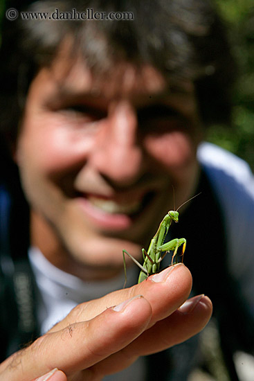 mantis-on-fingers.jpg