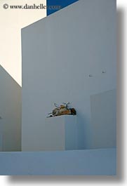 images/Europe/Greece/Amorgos/Abstract/stuff-on-ledge.jpg