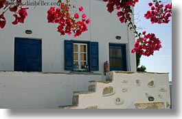 images/Europe/Greece/Amorgos/Buildings/red-bougainvillea-n-white-house.jpg