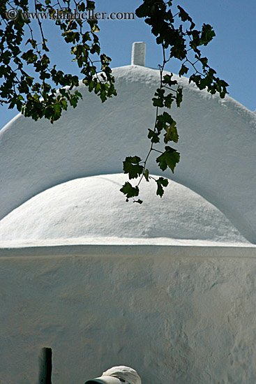 church-dome-w-branches-n-hat.jpg