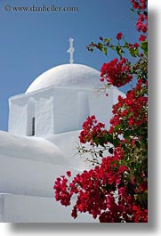 images/Europe/Greece/Amorgos/Churches/church-n-red-bougainvillea-2.jpg