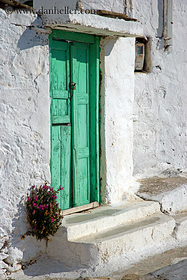 green-door-n-dried-flowers.jpg