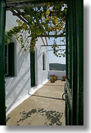 images/Europe/Greece/Amorgos/DoorsWins/green-door-open-to-vine-covered-patio.jpg