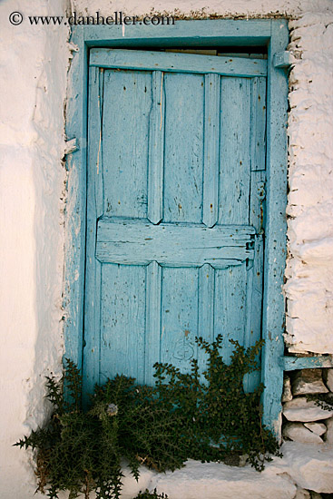 old-light-blue-door-w-green-weeds.jpg