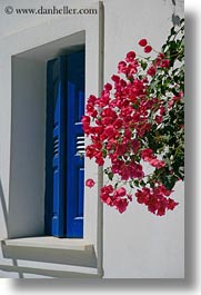 amorgos, blues, bougainvilleas, europe, flowers, greece, nature, vertical, windows, photograph