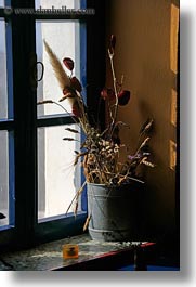 images/Europe/Greece/Amorgos/Flowers/dried-flowers-in-window.jpg