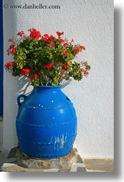 images/Europe/Greece/Amorgos/Flowers/geraniums-in-blue-vase-1.jpg