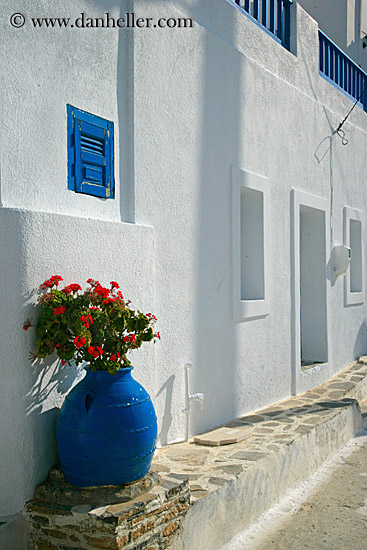 geraniums-in-blue-vase-3.jpg