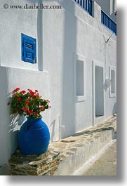 images/Europe/Greece/Amorgos/Flowers/geraniums-in-blue-vase-3.jpg