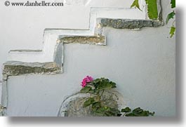 images/Europe/Greece/Amorgos/Flowers/pink-geranium-n-stairs.jpg
