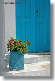 images/Europe/Greece/Amorgos/Flowers/pink-geraniums-n-blue-door.jpg