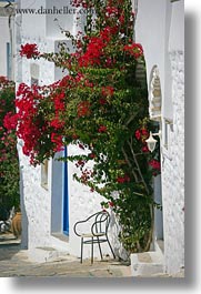 images/Europe/Greece/Amorgos/Flowers/red-bougainvillea-n-chair.jpg