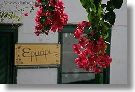 images/Europe/Greece/Amorgos/Flowers/red-bougainvillea-n-sign.jpg