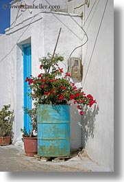 images/Europe/Greece/Amorgos/Flowers/red-bougainvillea-n-steel-drum-1.jpg
