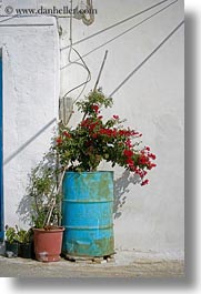 images/Europe/Greece/Amorgos/Flowers/red-bougainvillea-n-steel-drum-2.jpg