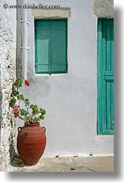 images/Europe/Greece/Amorgos/Flowers/red-geraniums-n-green-window-shutter.jpg