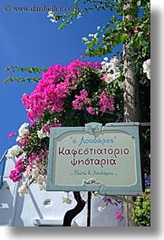 images/Europe/Greece/Amorgos/Flowers/sign-n-bougainvillea-1.jpg