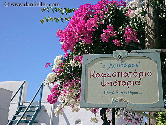 sign-n-bougainvillea-2.jpg