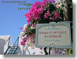 images/Europe/Greece/Amorgos/Flowers/sign-n-bougainvillea-2.jpg