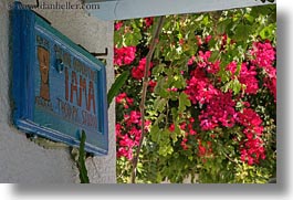 images/Europe/Greece/Amorgos/Flowers/sign-n-bougainvillea-3.jpg
