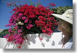 images/Europe/Greece/Amorgos/Flowers/woman-n-red-n-pink-bougainvillea.jpg