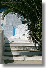 images/Europe/Greece/Amorgos/Misc/palm_tree-stairs-n-blue-gate.jpg