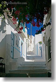 images/Europe/Greece/Amorgos/Misc/steps-n-bougainvillea.jpg