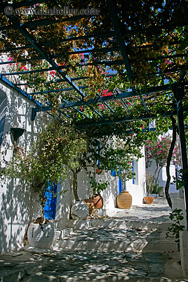 steps-n-flower-canopy.jpg