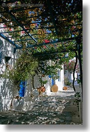 images/Europe/Greece/Amorgos/Misc/steps-n-flower-canopy.jpg