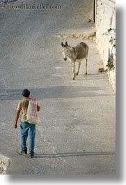 images/Europe/Greece/Amorgos/People/man-walking-to-donkey.jpg
