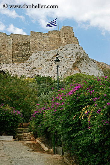 flowers-acropolis-n-greek-flag.jpg