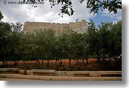 images/Europe/Greece/Athens/Acropolis/olive-trees-n-acropolis.jpg