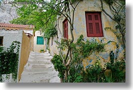 images/Europe/Greece/Athens/DoorsWindows/red-n-aqua-windows-ivy-n-steps.jpg