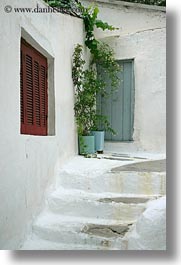 images/Europe/Greece/Athens/DoorsWindows/window-plants-n-white_wash-steps-1.jpg