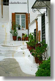 images/Europe/Greece/Athens/DoorsWindows/window-plants-n-white_wash-steps-2.jpg