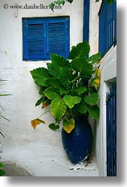 images/Europe/Greece/Athens/Misc/blue-window-green-plant-in-pot.jpg