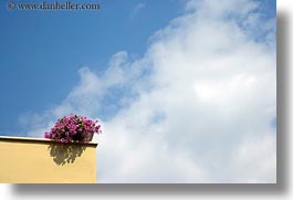 athens, clouds, cloudy, europe, flowers, greece, horizontal, nature, pink, sky, photograph