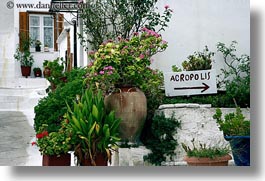 images/Europe/Greece/Athens/Misc/plants-n-acropolis-sign.jpg