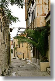 images/Europe/Greece/Athens/Streets/narrow-street-n-palm_tree.jpg