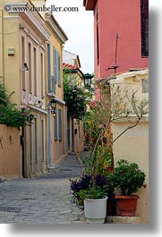 images/Europe/Greece/Athens/Streets/plants-n-colorful-bldgs.jpg
