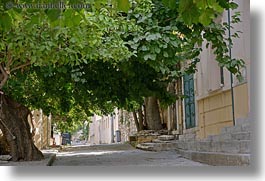 images/Europe/Greece/Athens/Streets/street-n-tree-canopy.jpg