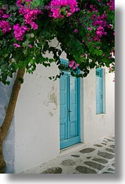 images/Europe/Greece/Mykonos/DoorsWindows/pink-bougainvillea-n-blue-door.jpg