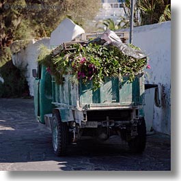 images/Europe/Greece/Mykonos/Misc/truck-of-flowers.jpg