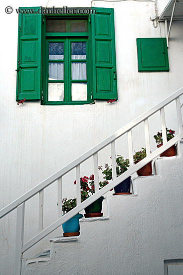 green-window-n-potted-plants-on-stairs.jpg