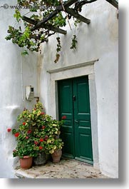images/Europe/Greece/Naxos/DoorsWins/green-door-n-plants-1.jpg