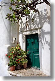 images/Europe/Greece/Naxos/DoorsWins/green-door-n-plants-2.jpg