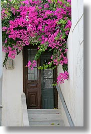 images/Europe/Greece/Naxos/DoorsWins/pink-bougainvillea-n-door-stairs.jpg